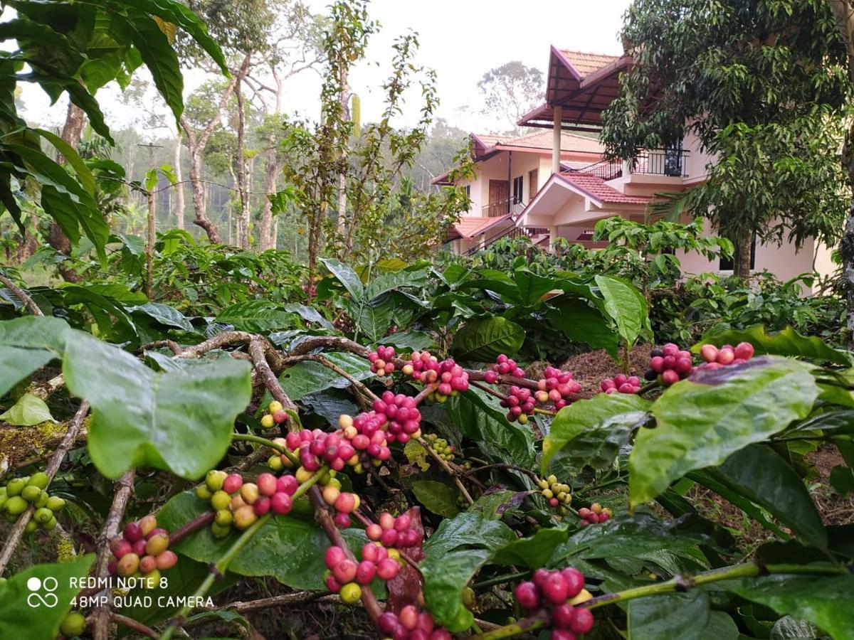 Wanders In -Travel Company Hotell Madikeri Exteriör bild