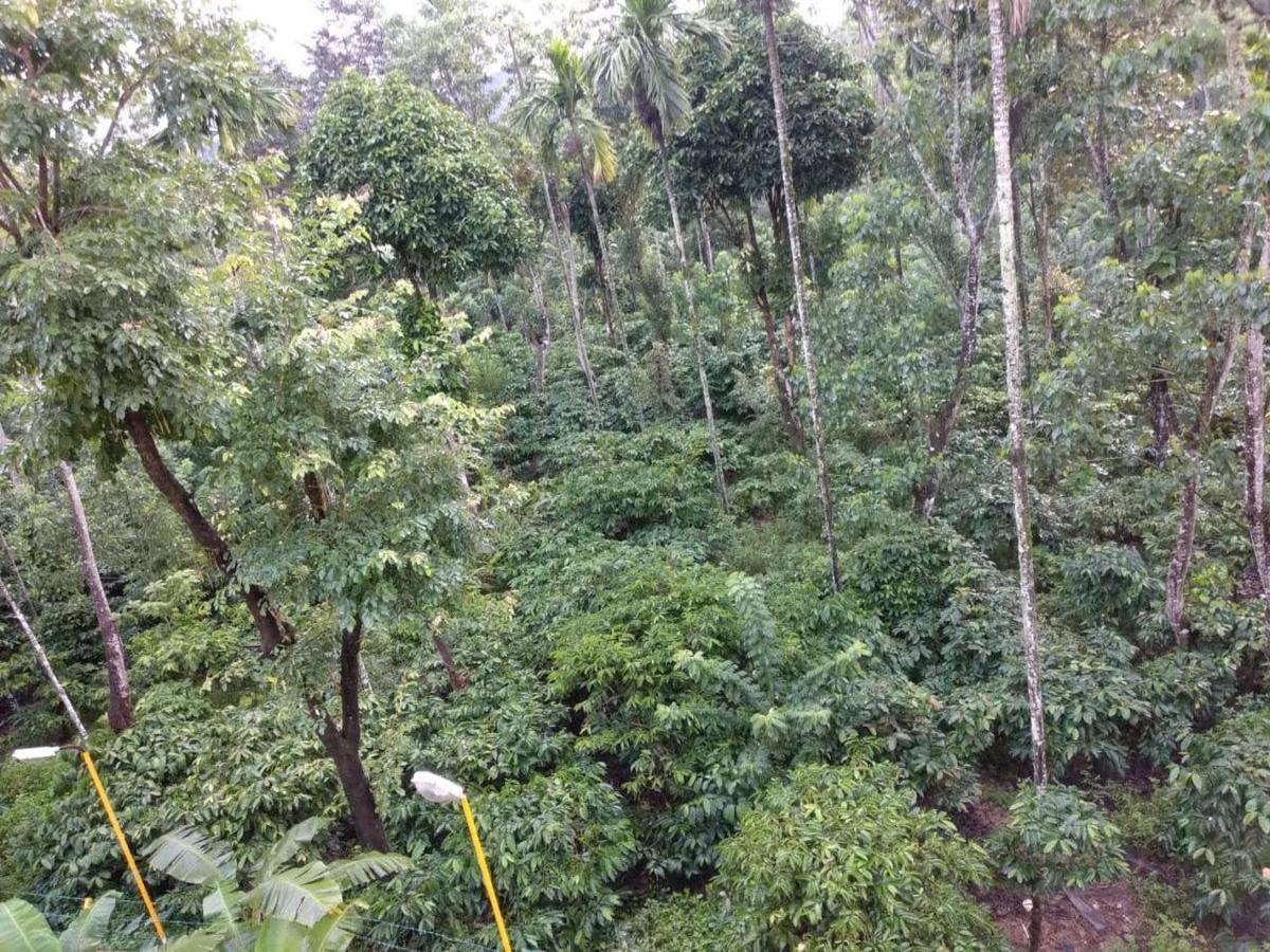 Wanders In -Travel Company Hotell Madikeri Exteriör bild