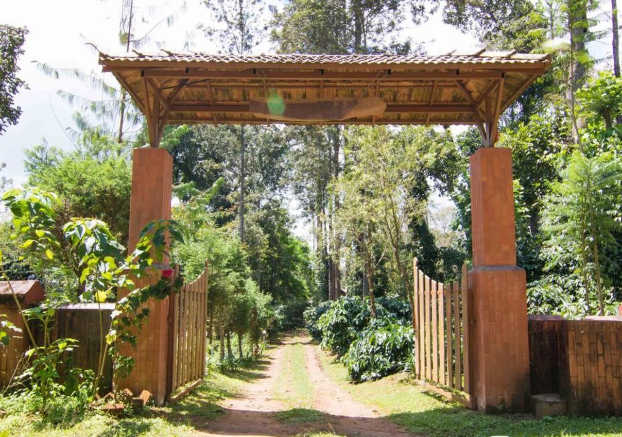 Wanders In -Travel Company Hotell Madikeri Exteriör bild