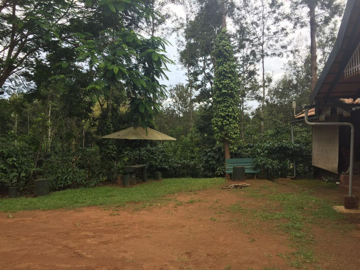 Wanders In -Travel Company Hotell Madikeri Exteriör bild